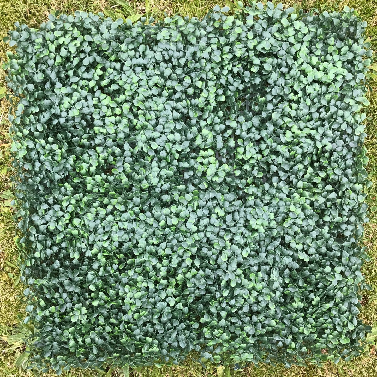 Artificial Flame Resistant Boxwood Hedging Panel 50x50cm